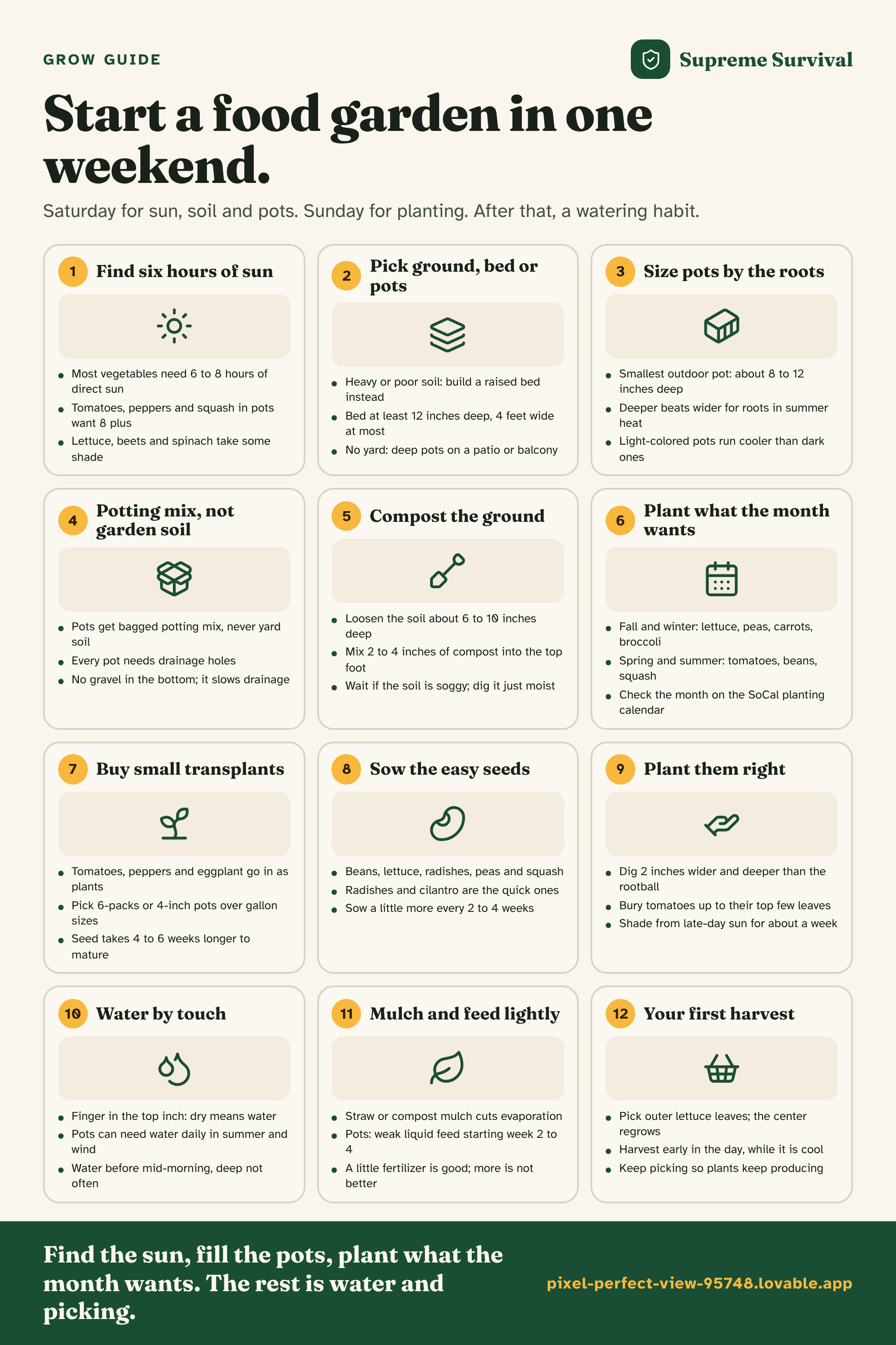Start a food garden in one weekend. as one saveable image